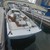 20 ft Duffy Electric Boat boat photo